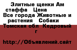 Элитные щенки Ам.стаффа › Цена ­ 25 000 - Все города Животные и растения » Собаки   . Томская обл.,Кедровый г.